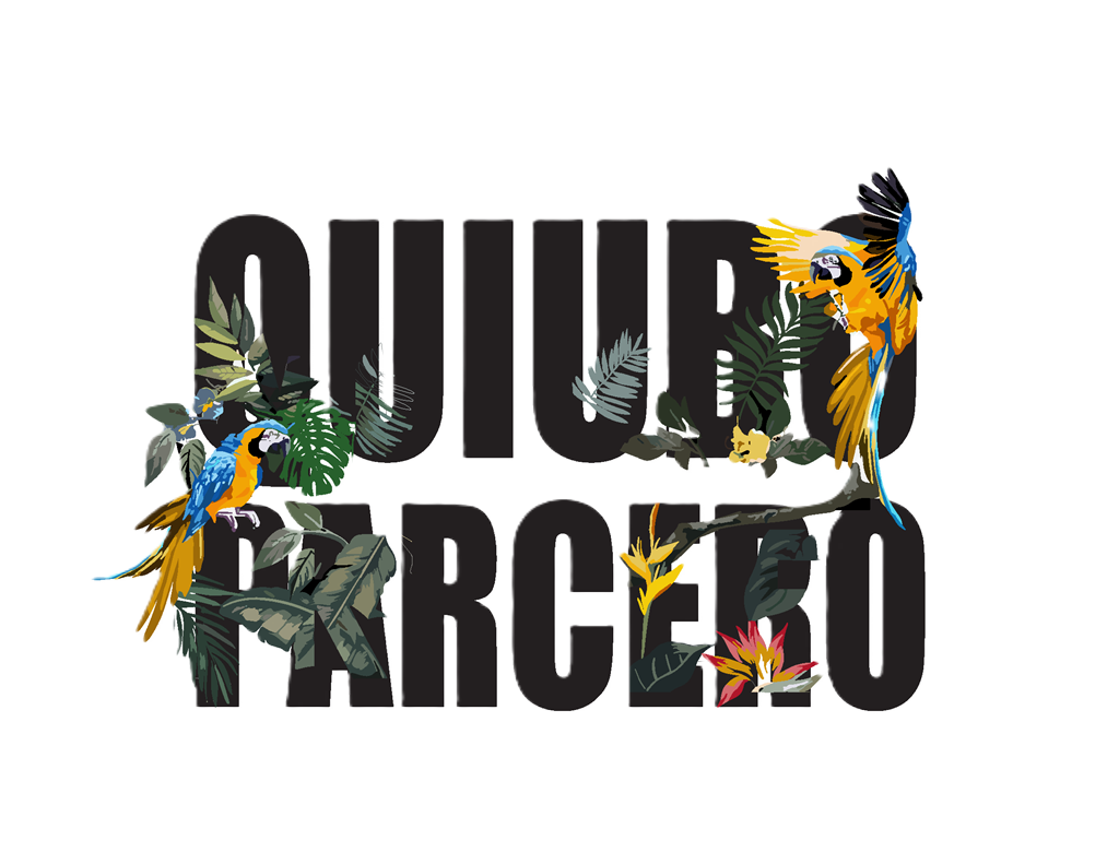 Camiseta de Feria - Quiubo Parcero