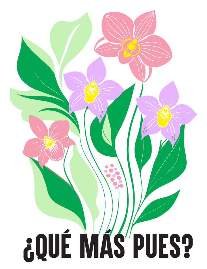 Camiseta de Feria - ¿Qué más pues?