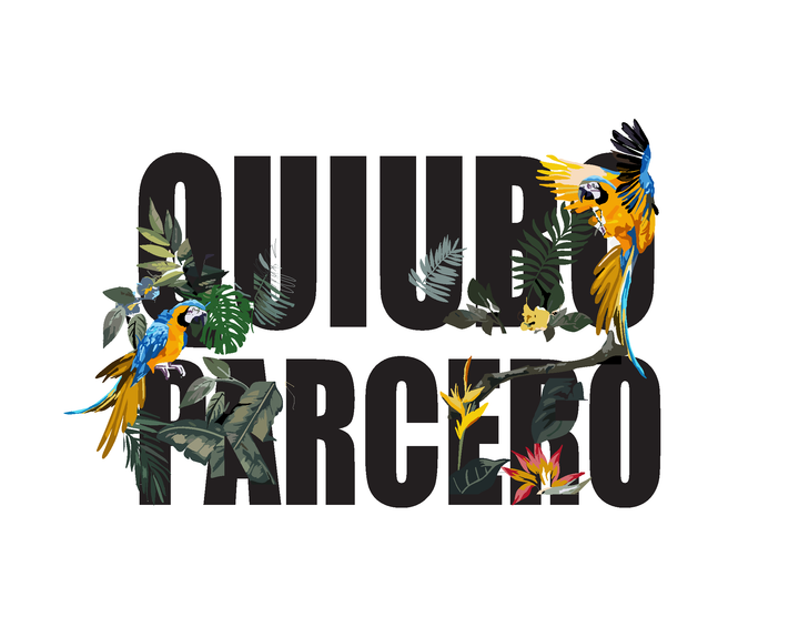 Camiseta de Feria - Quiubo Parcero